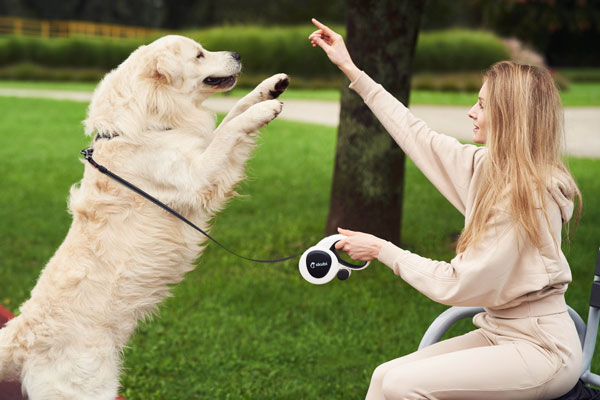fotografia produktowa nowy sącz zdjecia reklamowe smycz dla psa z modelką